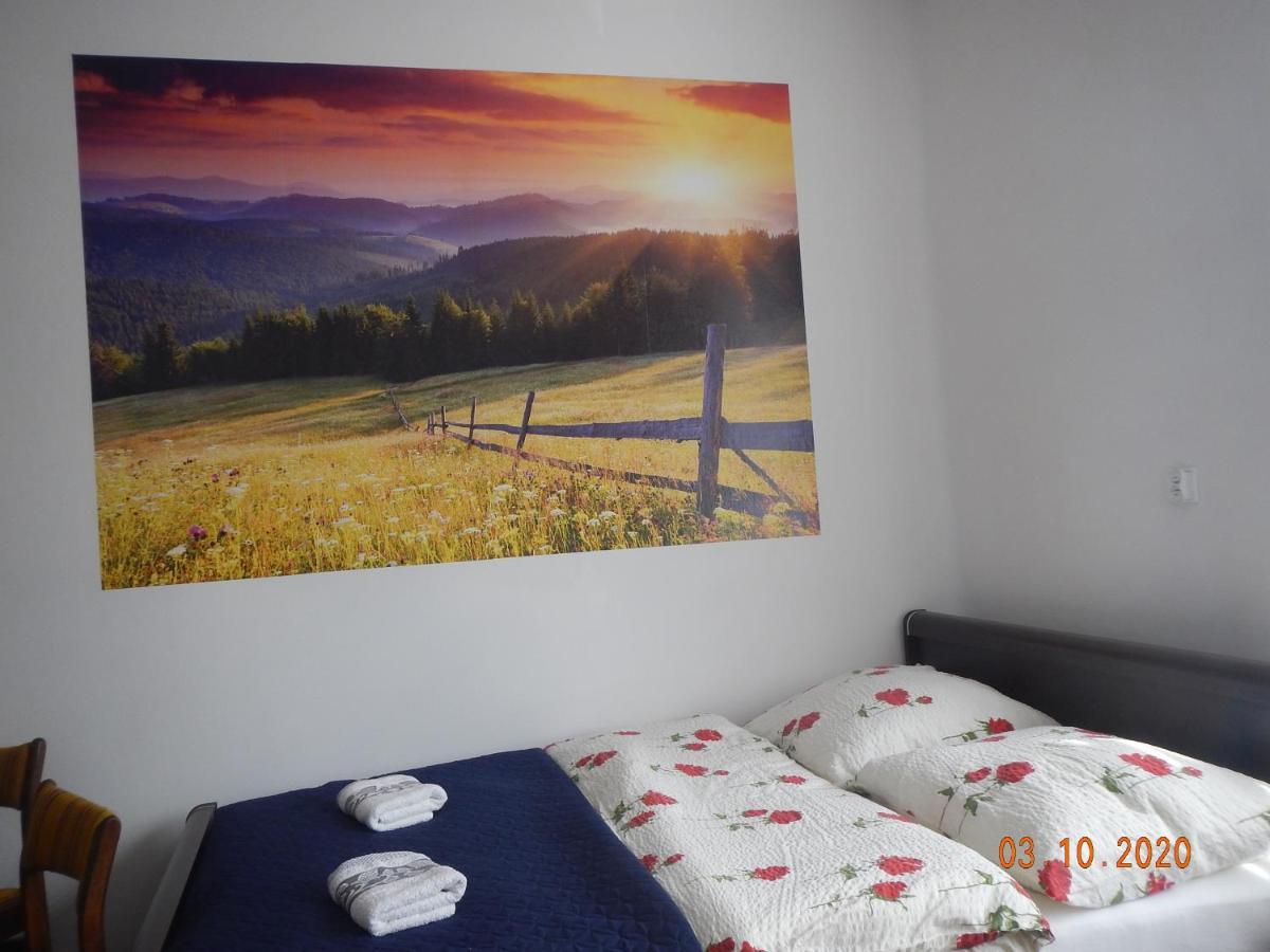Apartament Providentia Zakopane Witkiewicza 3 Esterno foto